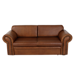 Vintage Sleeper Couch - Leather